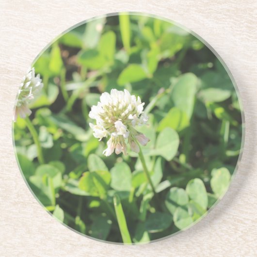 Dessous De Verre En Grès Clover & Fleurs Pt 2 (Devant)
