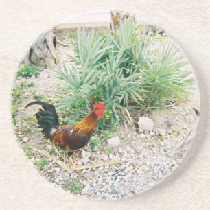 Dessous De Verre En Grès Coaster_Rooster