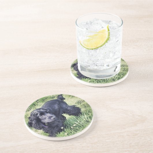 Dessous De Verre En Grès Cocker (Côté)