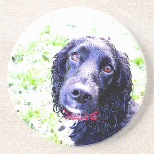 Dessous De Verre En Grès Cocker Spaniel (Devant)