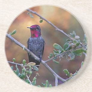 Dessous De Verre En Grès Colibri au coucher du soleil