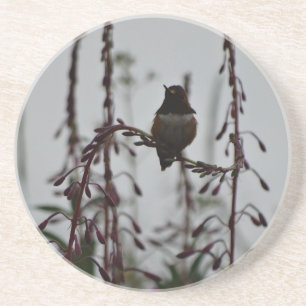 Dessous De Verre En Grès Colibri au repos
