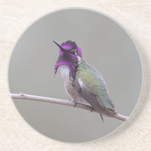 Dessous De Verre En Grès Colibri de Costa (Devant)