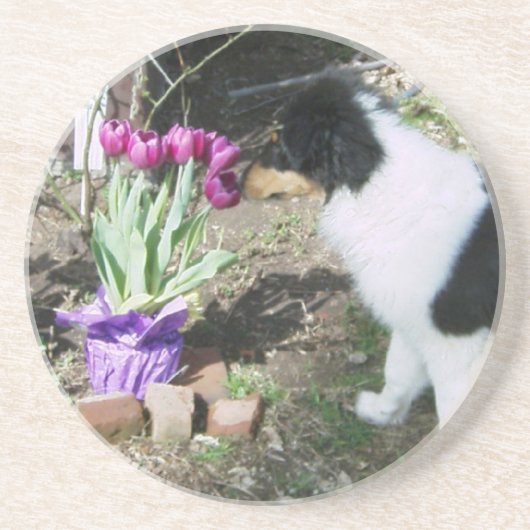 Dessous De Verre En Grès Collie Pup Sent les fleurs (Devant)