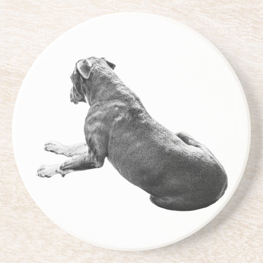 Dessous De Verre En Grès Compagnon de table calme (Devant)