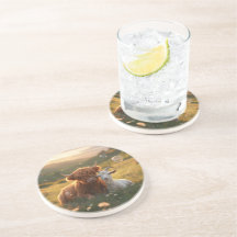 Compagnons de campagne