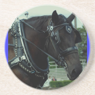 Dessous De Verre En Grès concours hippique d'ébauche de va de culpeper