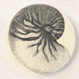 Dessous De Verre En Grès Conque noire et blanche vintage Shell