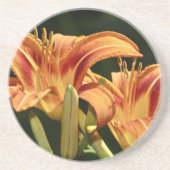Dessous De Verre En Grès Considérons Les Lilies Du Terrain (Devant)