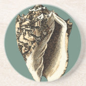 Dessous De Verre En Grès Coque conique turquoise (Devant)