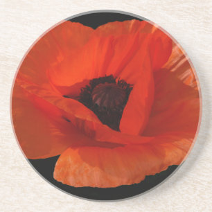 Dessous De Verre En Grès Coquelicot Macro