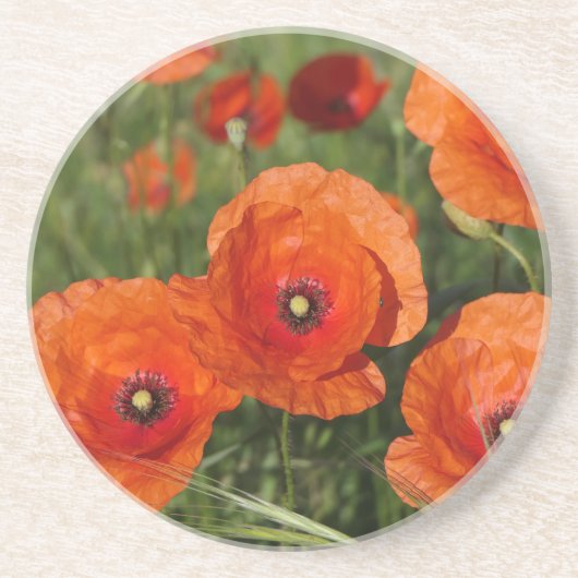 Dessous De Verre En Grès Coquelicots communs (Devant)