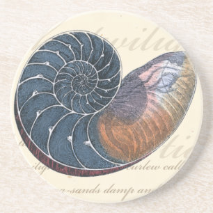 Dessous De Verre En Grès Coquillage romantique