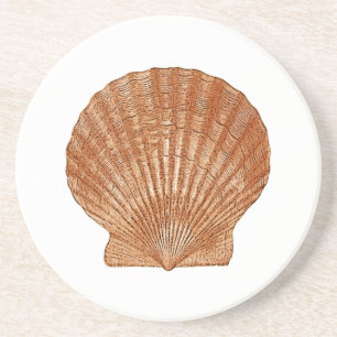 Dessous De Verre En Grès Coquille de saint-jacques de baie