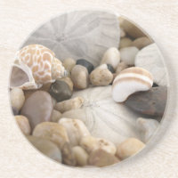 Coquilles et cailloux du dollar de sable