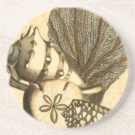 Dessous De Verre En Grès Coquilles neutres et collection de corail (Devant)