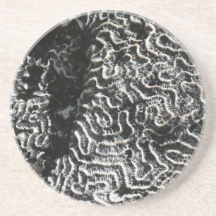 Dessous De Verre En Grès Corail noir et blanc I Abstrait Nature Photo