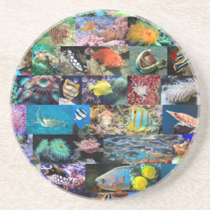 Dessous De Verre En Grès Coral Reef Marine Fish and Animaux, Photo Collage