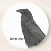 Dessous De Verre En Grès Corbeau noir avec nom scientifique (Devant)