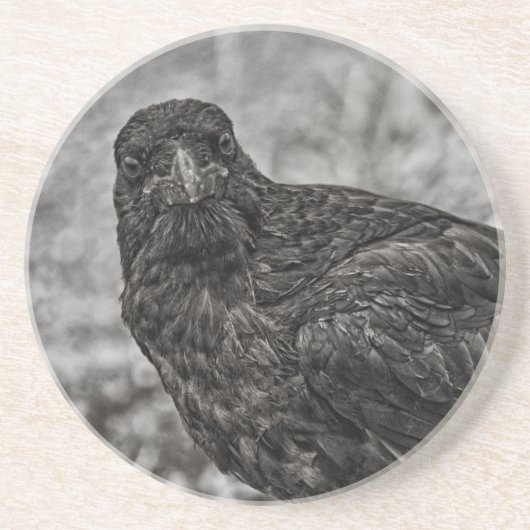 Dessous De Verre En Grès Corbeau P9239 (Devant)