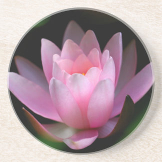 Dessous De Verre En Grès coster de fleur