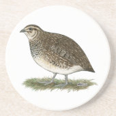 Dessous De Verre En Grès Coturnix Quail (Devant)