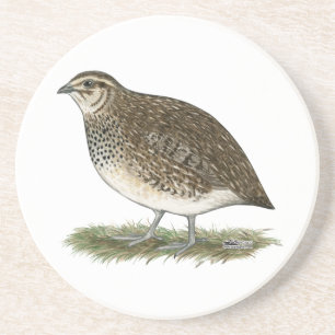 Dessous De Verre En Grès Coturnix Quail