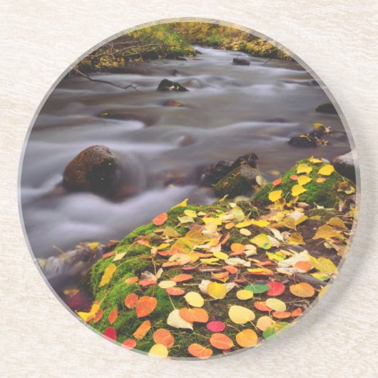 Dessous De Verre En Grès Couleurs d'automne le long de McGee Creek (Devant)