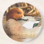 Dessous De Verre En Grès Coy souriant le canard à pigeon eurasien à l'étang (Devant)