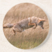 Dessous De Verre En Grès Coyote sautant - prés de gibbon (Devant)