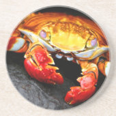 Dessous De Verre En Grès Crabe de Galapagos (Devant)