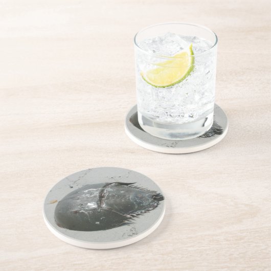 Dessous De Verre En Grès Crabe du fer à cheval (Côté)