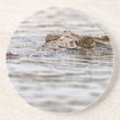 Dessous De Verre En Grès Crocodile du Nil (Devant)