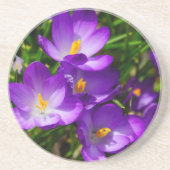 Dessous De Verre En Grès Crocus Lilac (Devant)