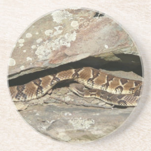 Dessous De Verre En Grès Crotale à Shenandoah National Park