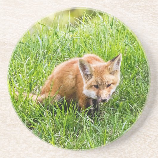 Dessous De Verre En Grès Cube Fox (Devant)