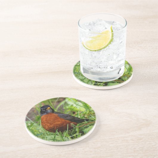 Dessous De Verre En Grès Curieux oiseau-chanteur américain Robin dans l'her (Côté)