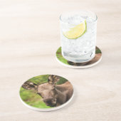 Dessous De Verre En Grès Curieux orignal (Côté)