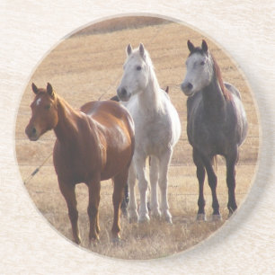 Dessous De Verre En Grès Curiosité équine 3