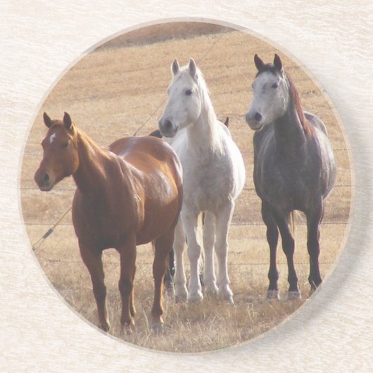 Dessous De Verre En Grès Curiosité équine 3 (Devant)