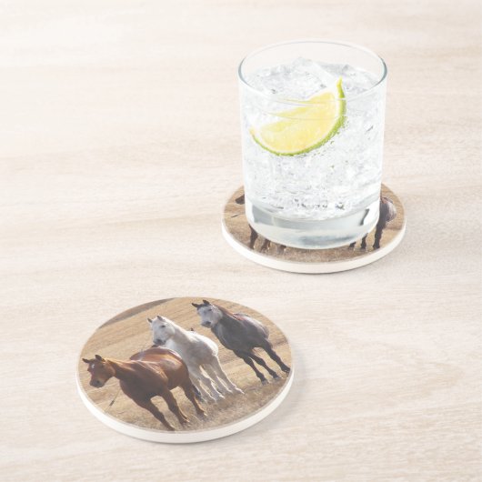 Dessous De Verre En Grès Curiosité équine 3 (Côté)