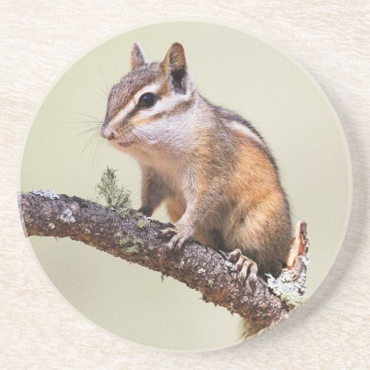 Dessous De Verre En Grès Cute et Chubby Chipmunk (Devant)
