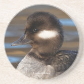 Dessous De Verre En Grès Cute Little Bufflehead Canard sur les eaux illumin (Devant)