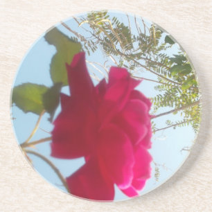 Dessous De Verre En Grès Cute Retro Hakuna Matata Cadeau Bleu Rouge Vert SK