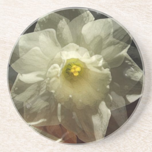 Dessous De Verre En Grès Daffodil Dreams (Devant)
