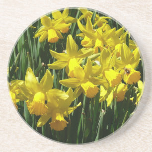 Dessous De Verre En Grès Daffodiles Jaunes I Fleurs De Printemps Cheveux