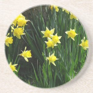 Dessous De Verre En Grès Daffodiques de printemps