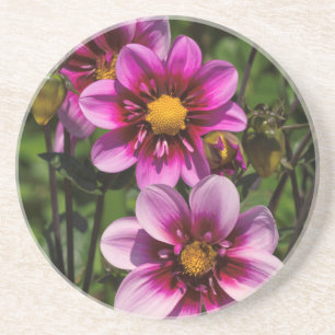 Dessous De Verre En Grès Dahlia Trio
