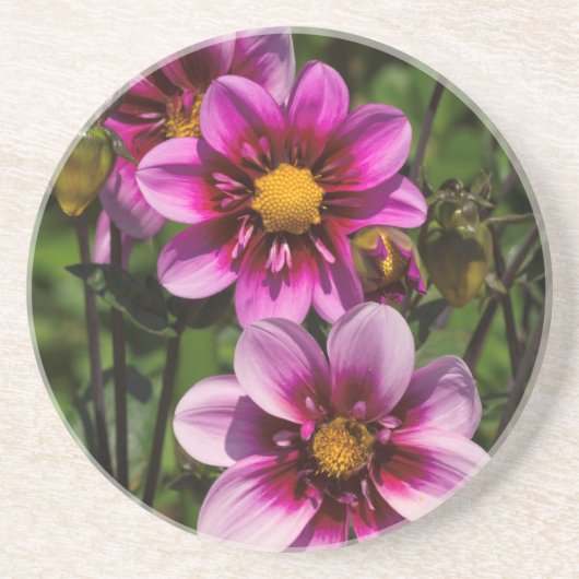 Dessous De Verre En Grès Dahlia Trio (Devant)