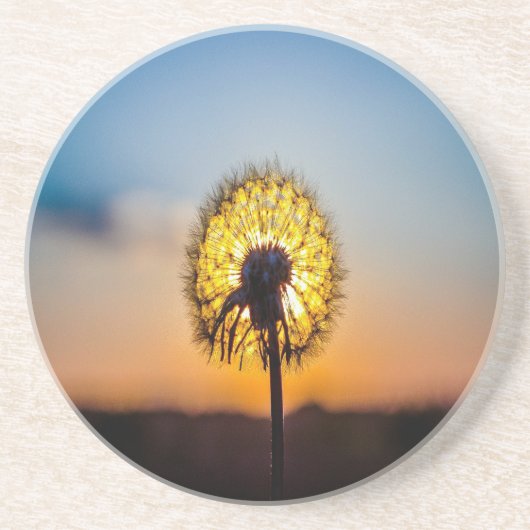 Dessous De Verre En Grès Dandelion au lever du soleil (Devant)